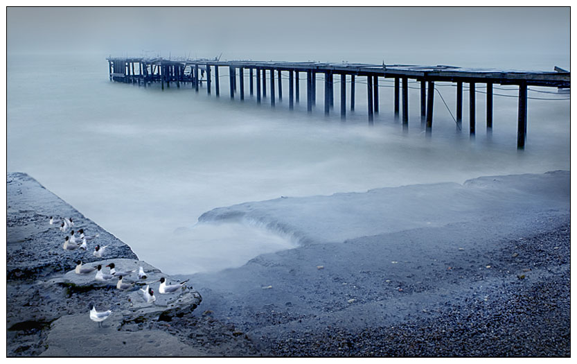 *odessa coast*