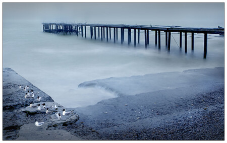 *odessa coast*