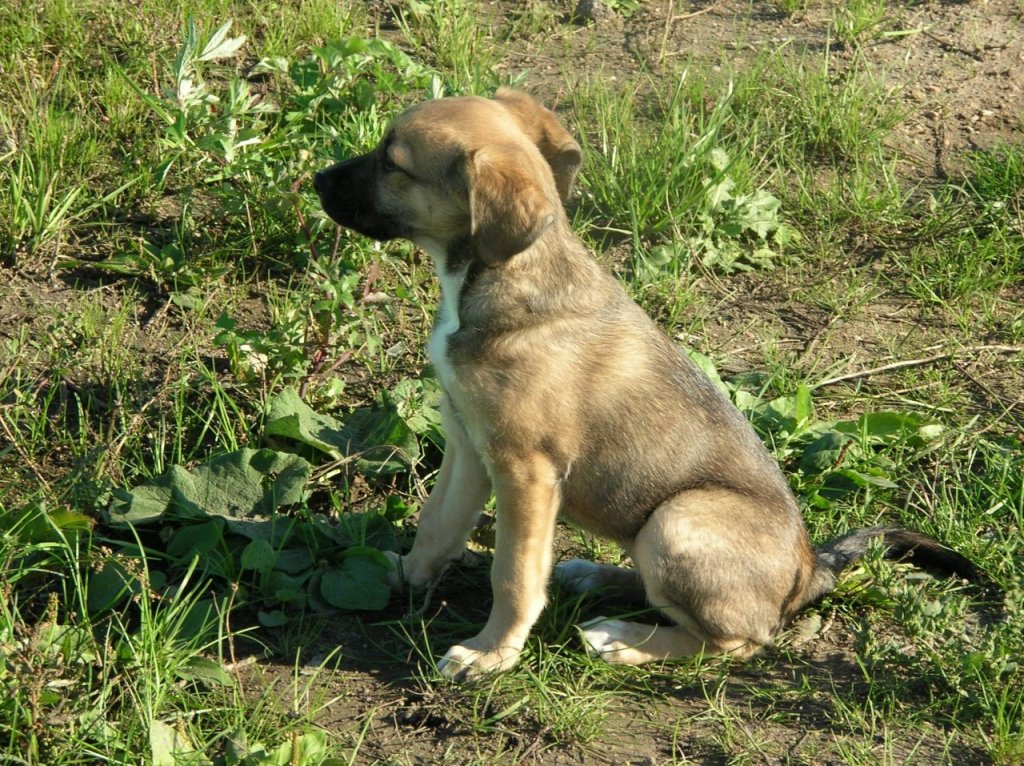 Летняя прогулка
