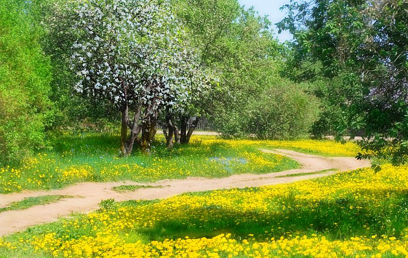 Одуванчиковый поворот.