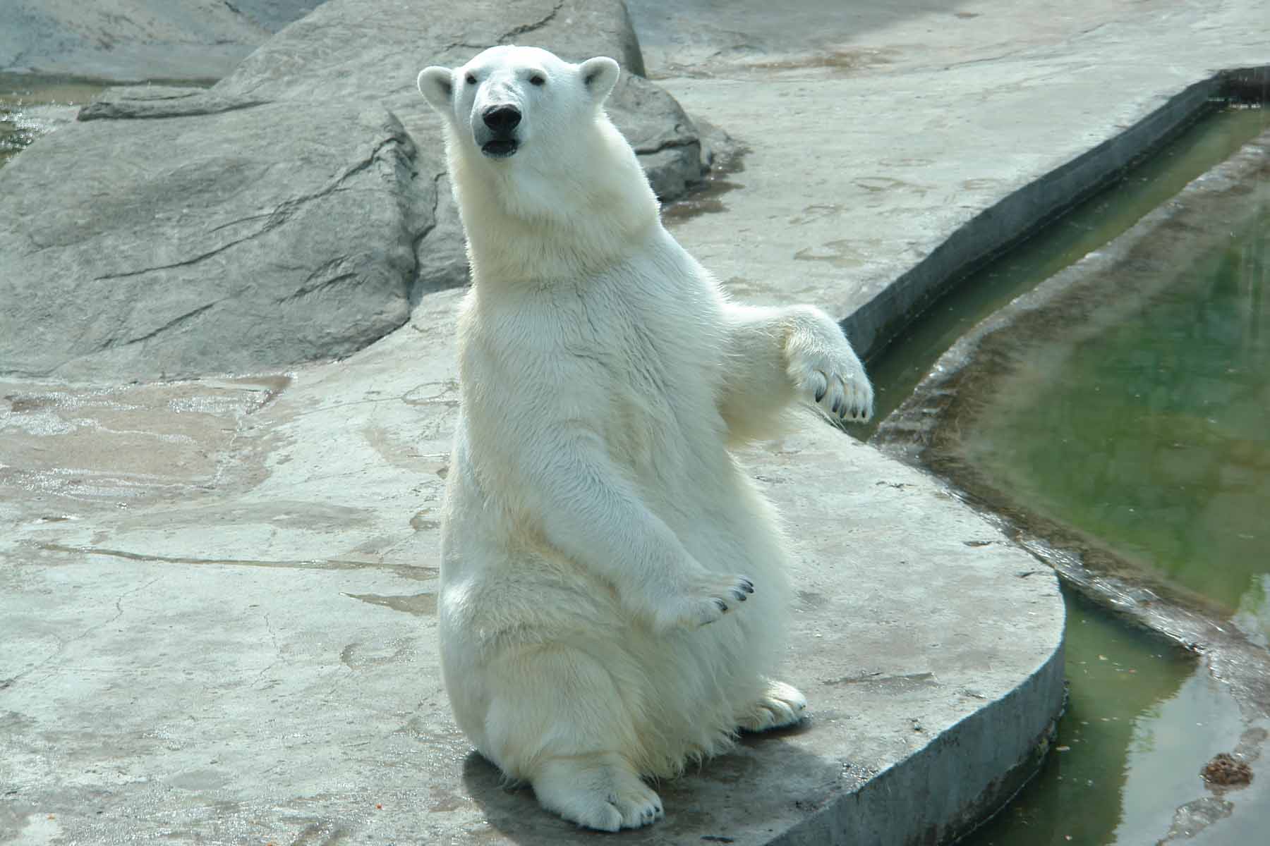 Ну что снял?