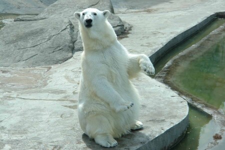 Ну что снял?