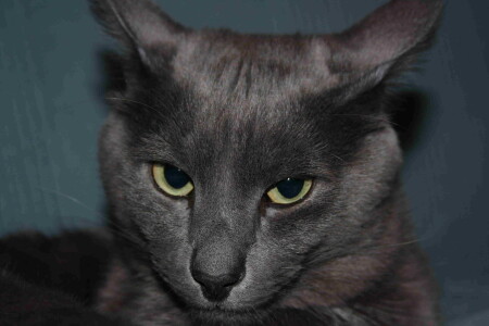 Архип недоволен