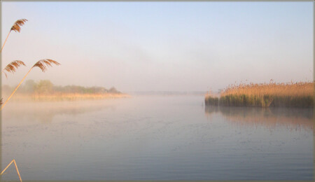 Прощание с утренним туманом