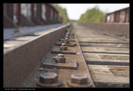 одна из тысячи ... миллионов