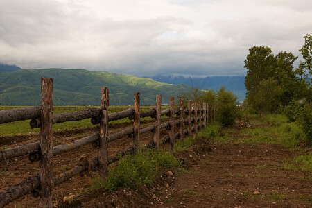 Про плетень, солнце и весенний дождь...