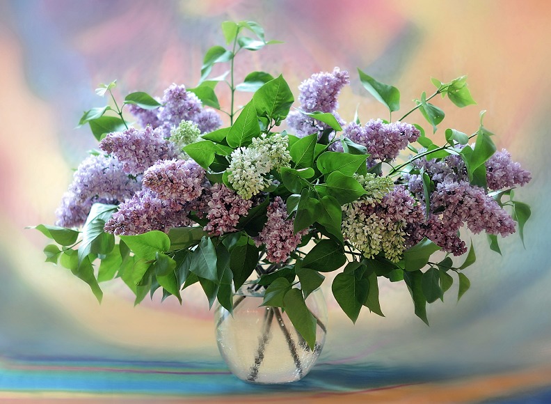 Майский букет