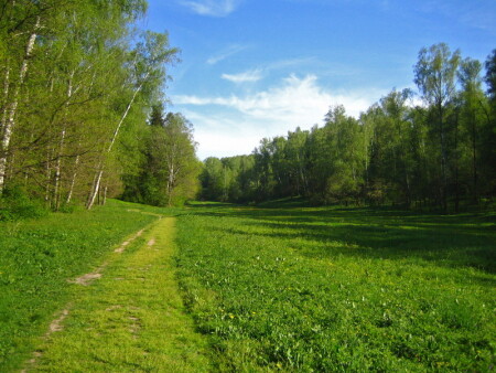 Вперед по тропинке..