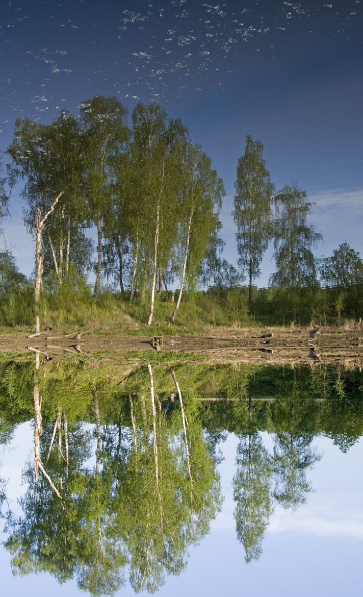 Зазеркалье