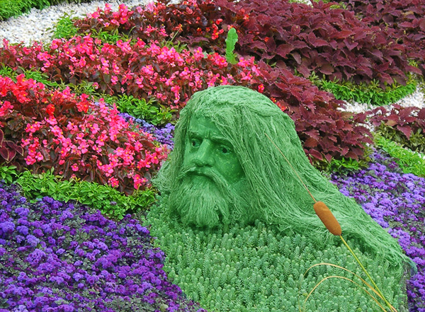 Голова