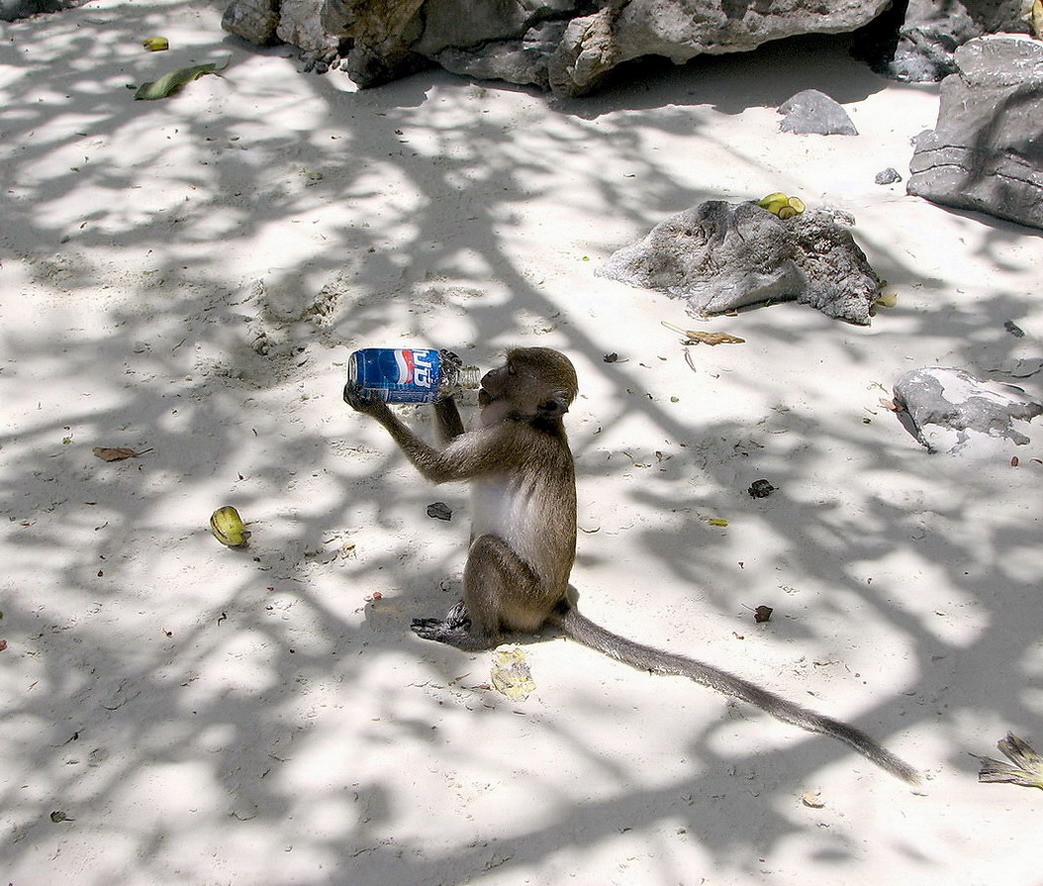 PEPSI 