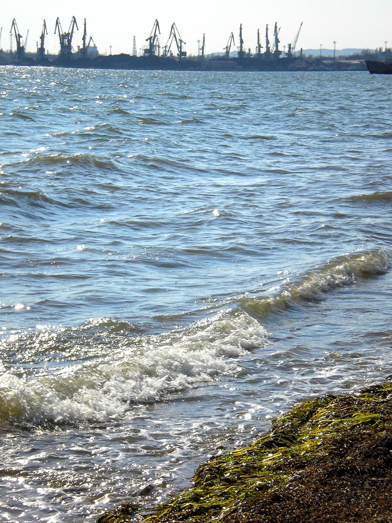 море