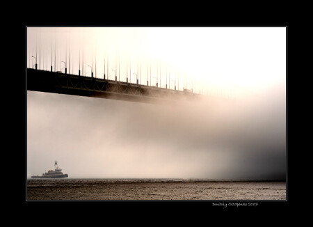 Blending With The Fog