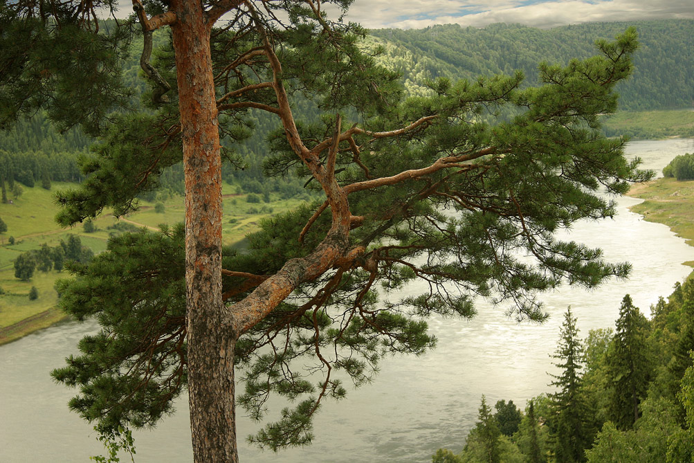 Хочу улететь
