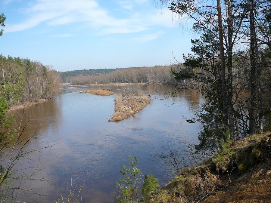 река Гауя