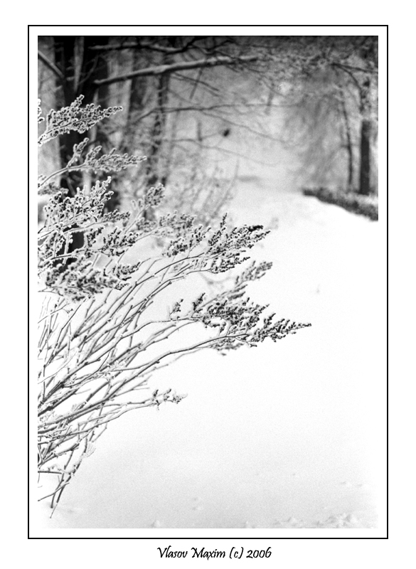 russian winter - 2