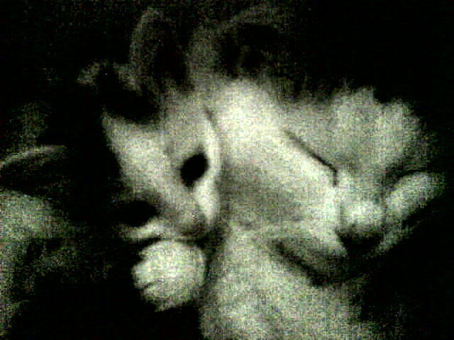 My son