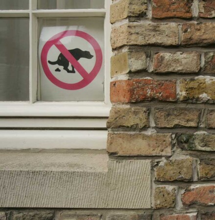 Зарисовка, Брюгге