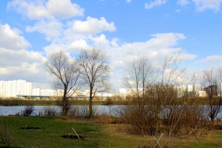 тёмная и светлая сторона силы ..