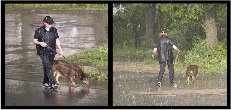 &quot;собачий&quot; день