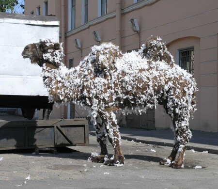 Чудо зверь!