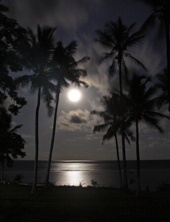 Тропическая ночь