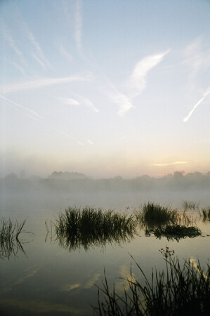 Восход над Клязьмой