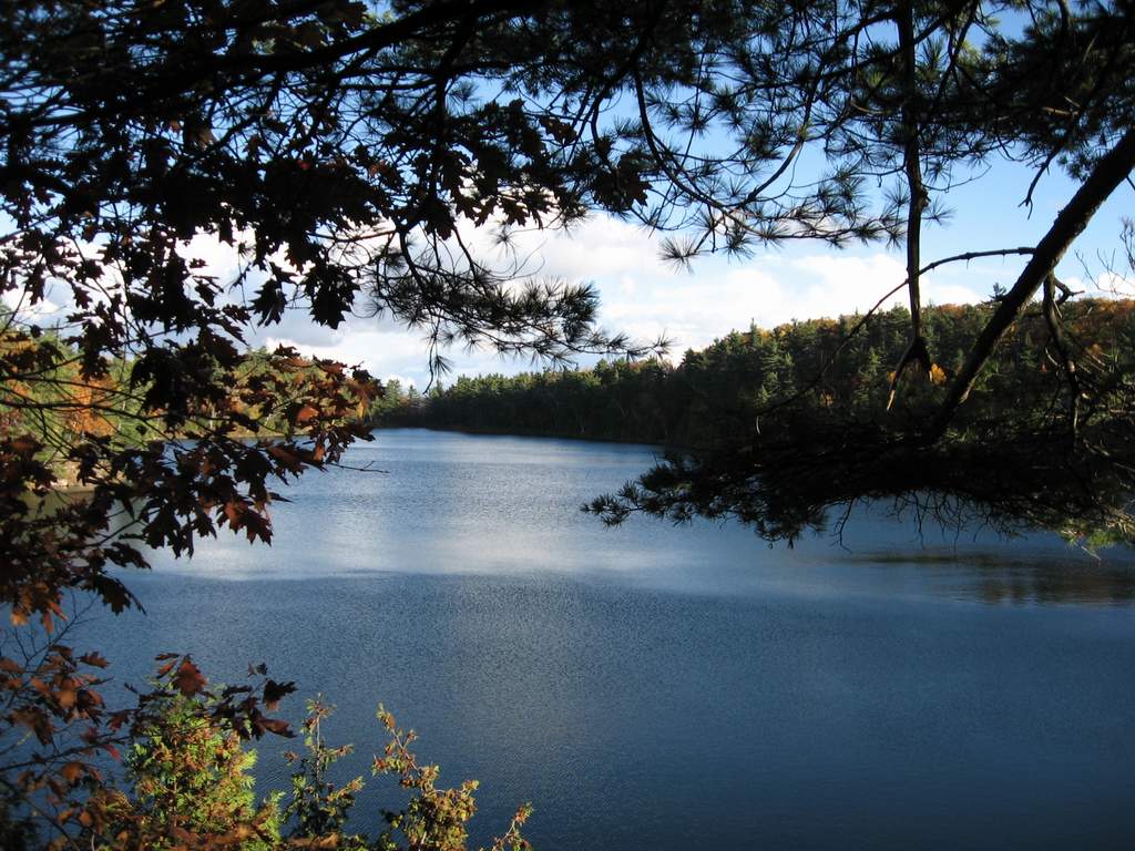 Pink Lake #4