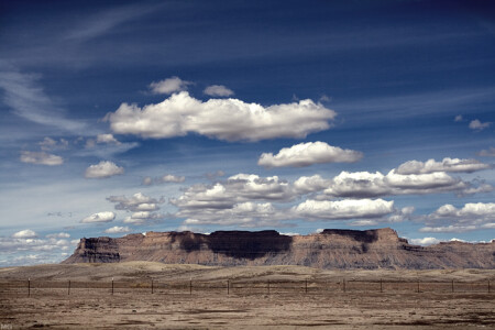 Nevada pursuit