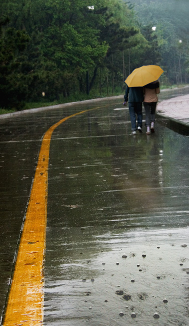 rain
