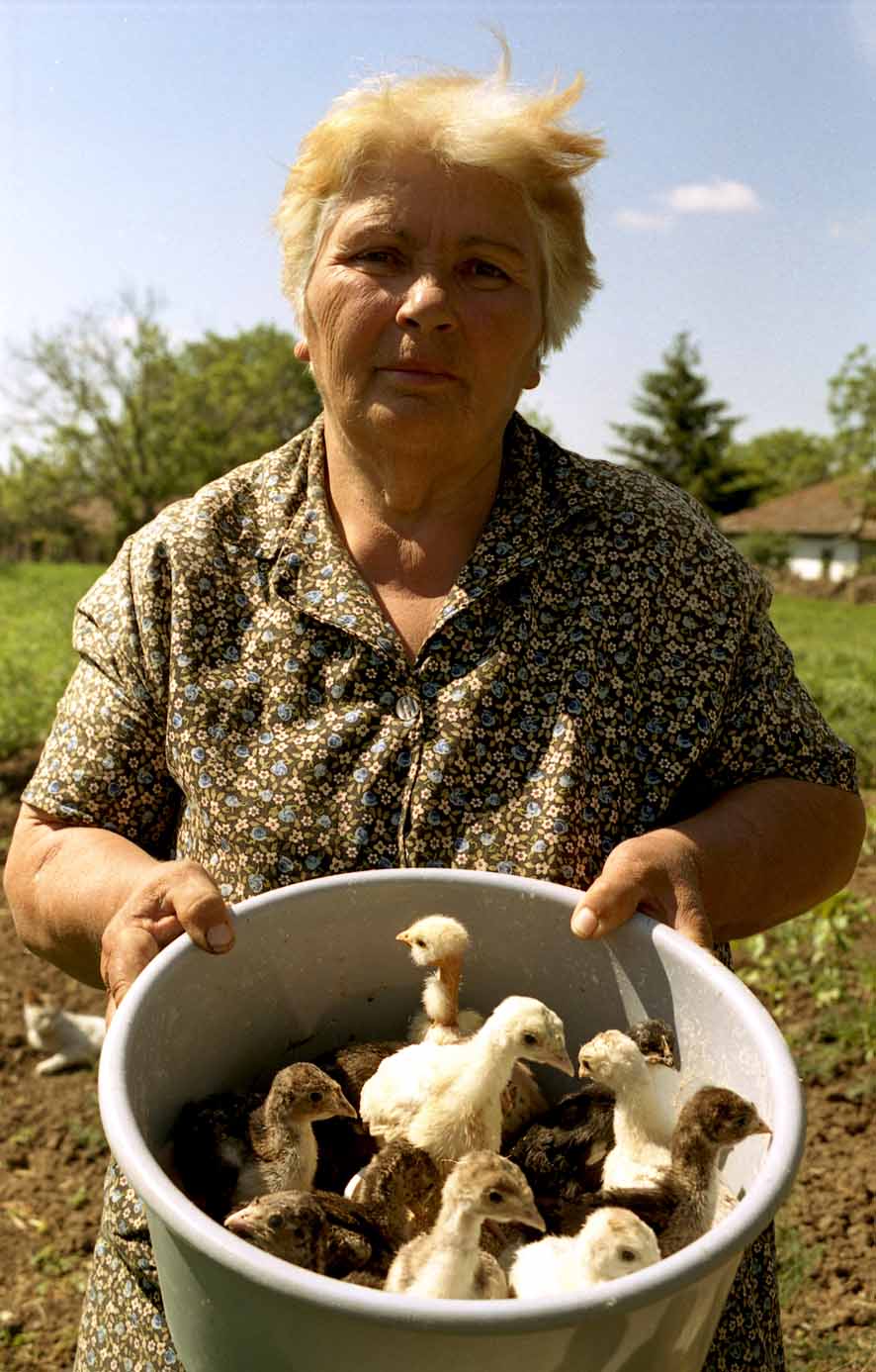 классика 