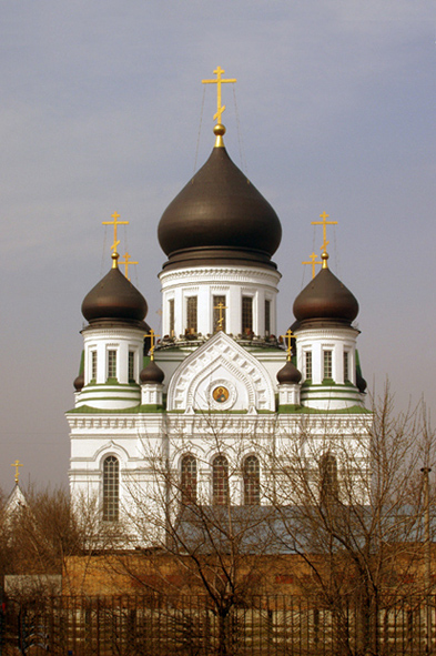 Москва. Николо-Перервинский монастырь