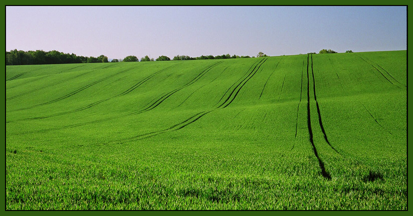 Agriculture