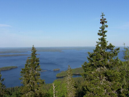 Финляндия Koli