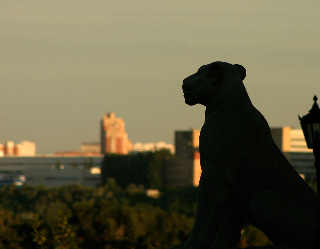 City Guard