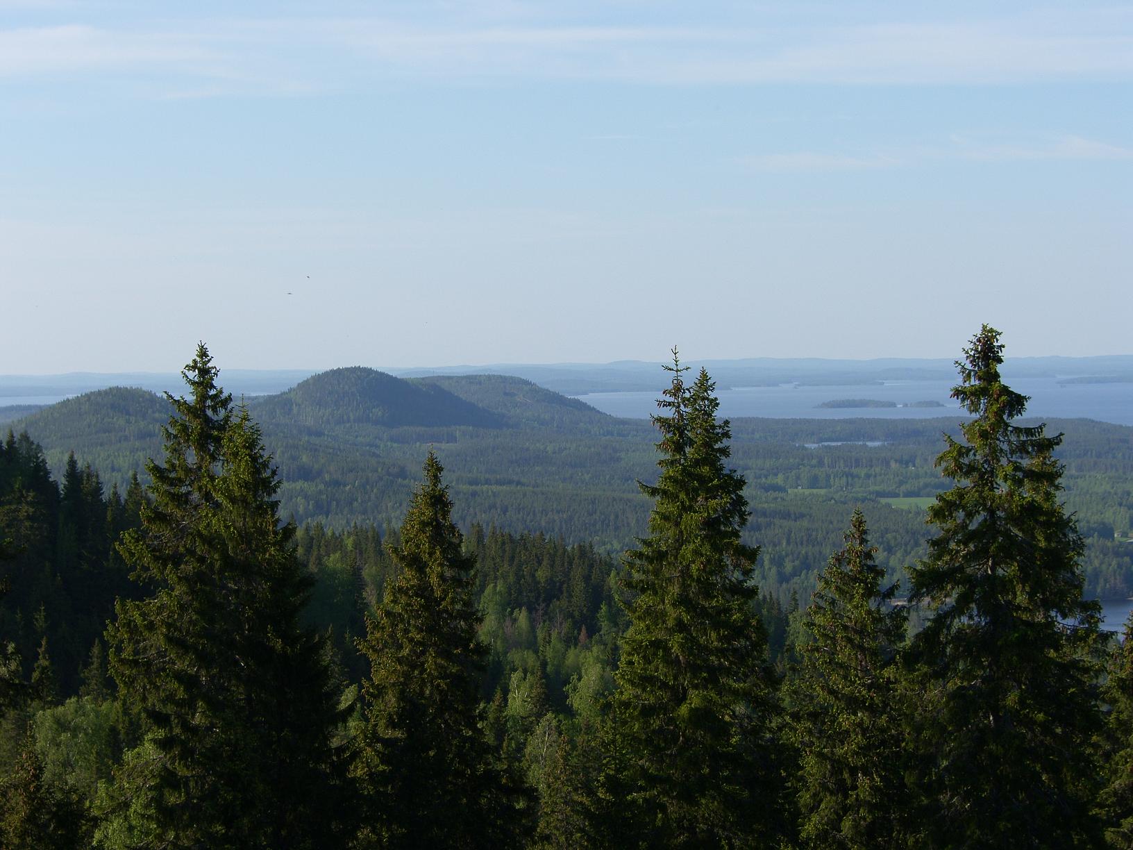Финляндия Koli (2)