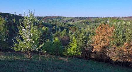 Если не лениться и встать пораньше...