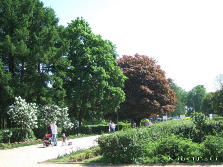 Парк