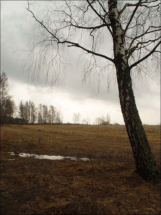 осень