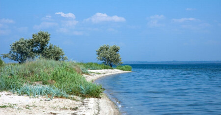 Солнце, воздух и вода.