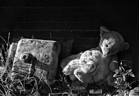 Нам больше не нужны ни медведи, ни раковина...