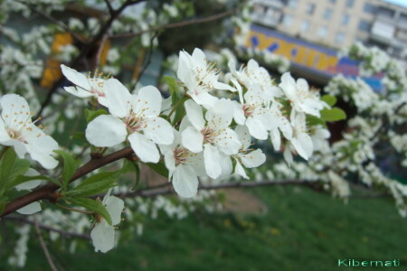 Весна