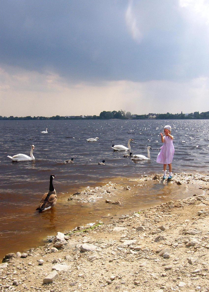 Перед грозой.