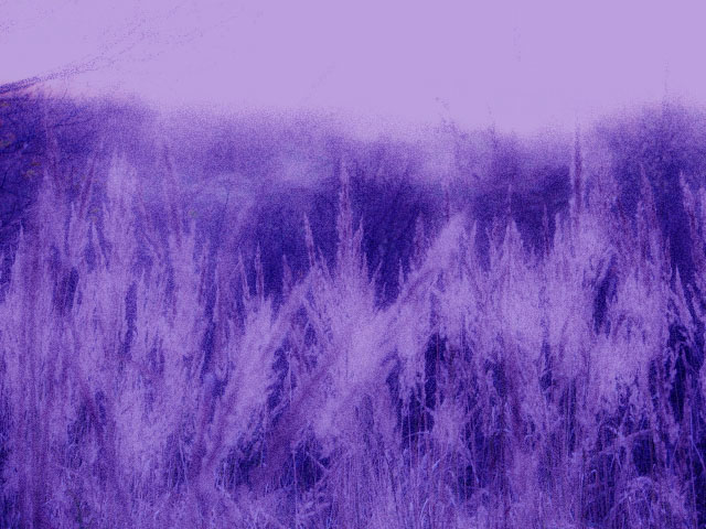 Эльфийский луг
