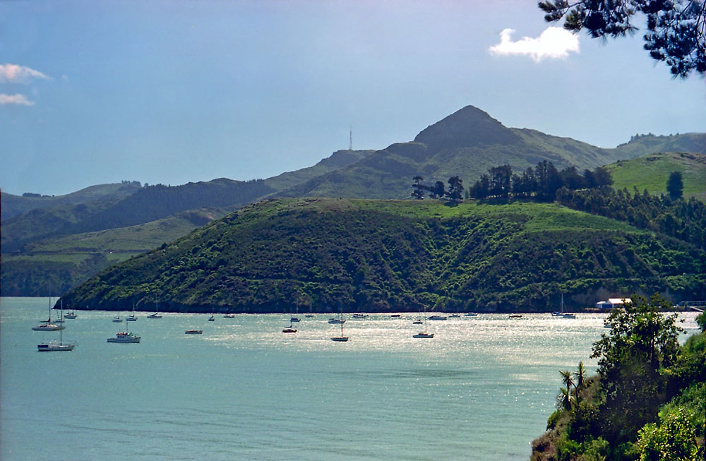 Lyttleton Harbour