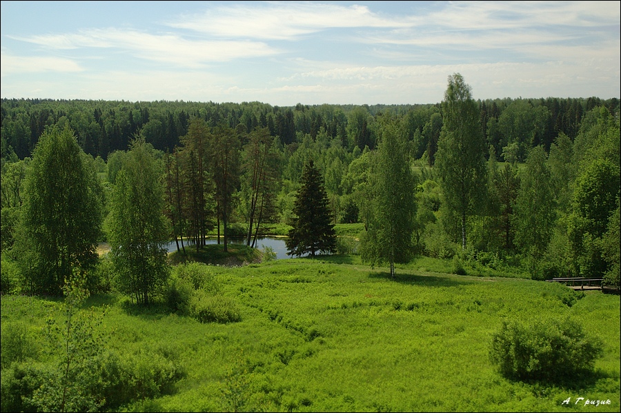 С пригорка