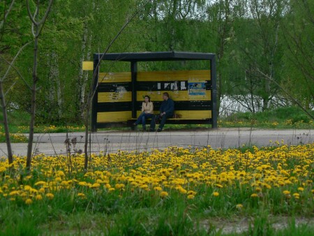 Природа за &amp;quot;Билайн&amp;quot;