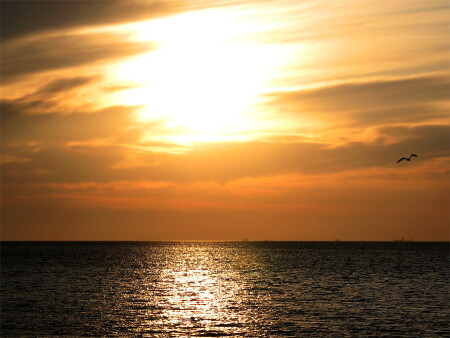 Предзакатное 2