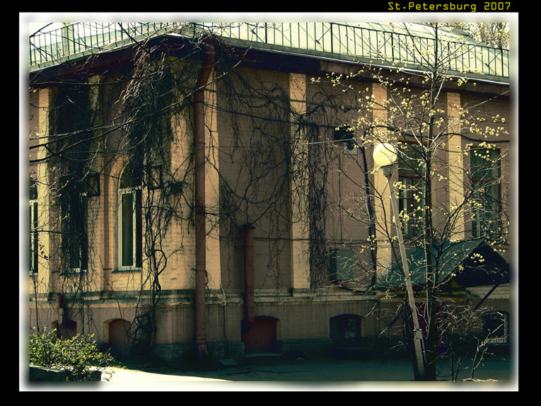 thicket building