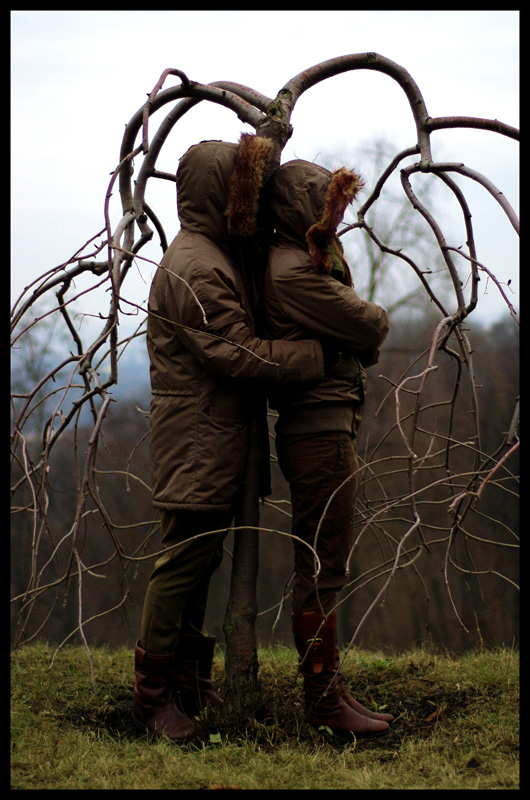 under the lovetree
